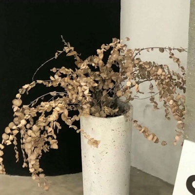 兽设场景透视绘画教程FurryQQ群